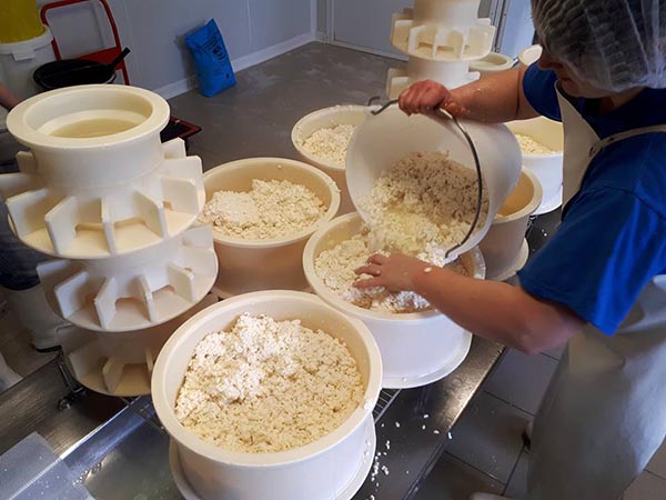ferme de la fontaine à Mollans 70 fabrication de fromages et yaourts