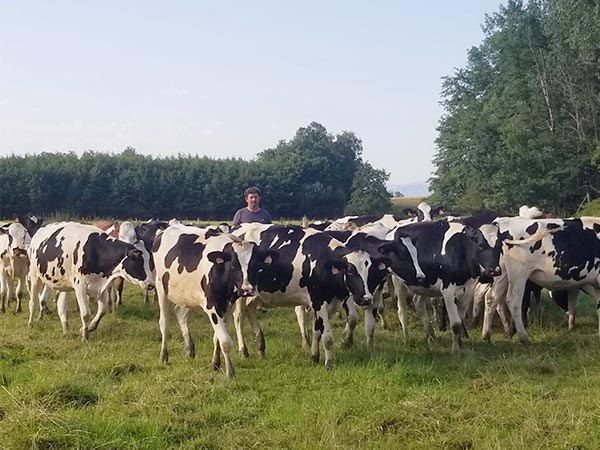 Gaec Gigon - Vaches paturage Natura 2000