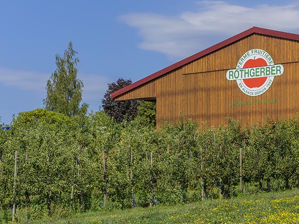 Pommes bio de la ferme Rothgerber